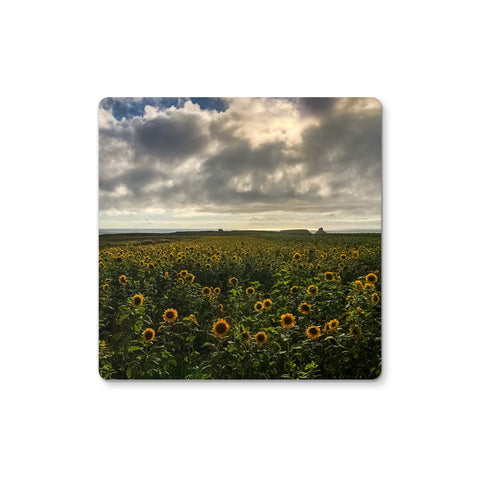 Rhossili Sunflowers Coaster