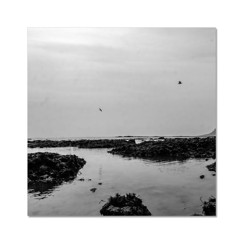 High flyers Fine Art Print