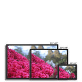 Clyne Gardens Framed Canvas
