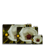 Elle Maree Canvas
