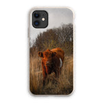 Welsh Cow Eco Phone Case