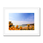 Caswell In Bloom Framed & Mounted Print