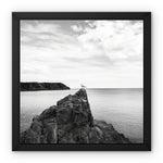 Gower Seagull Framed Canvas