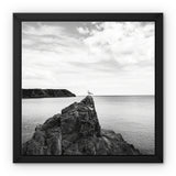 Gower Seagull Framed Canvas