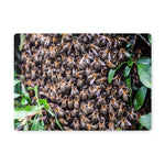 The Hive Placemat