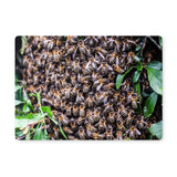 The Hive Placemat