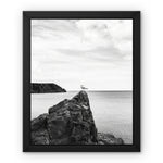 Gower Seagull Framed Canvas