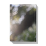 Tilia Cordata Hardback Journal