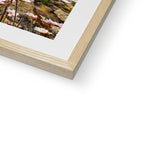 Worm's Head Framed & Mounted Print