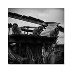 Lookout Fine Art Print