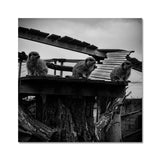Lookout Fine Art Print