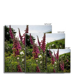 Foxgloves Fine Art Print