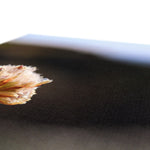 Flores Canvas