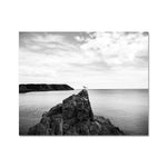 Gower Seagull Fine Art Print