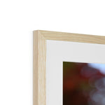Fiore Italiano Framed & Mounted Print