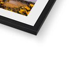 Caswell In Bloom Framed & Mounted Print