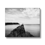 Gower Seagull Canvas