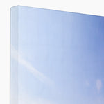 Caswell In Bloom Canvas