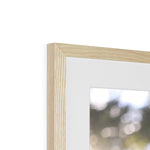 Tilia Cordata Framed & Mounted Print