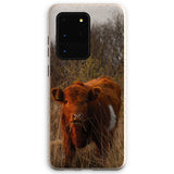 Welsh Cow Eco Phone Case