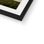 Rhossili Sunflowers Framed & Mounted Print