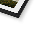 Rhossili Sunflowers Framed & Mounted Print