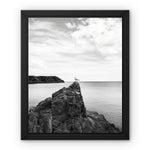 Gower Seagull Framed Canvas