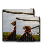 Red Panda Canvas
