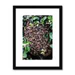 The Hive Framed & Mounted Print