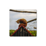 Red Panda Coaster