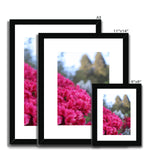 Clyne Gardens Framed & Mounted Print