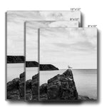 Gower Seagull Canvas