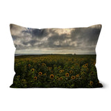 Rhossili Sunflowers Cushion