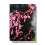 Pink Cercis Hardback Journal