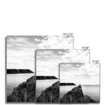Gower Seagull Fine Art Print