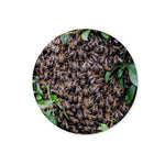 The Hive Glass Chopping Board
