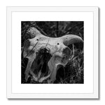 Horns Framed & Mounted Print