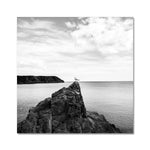 Gower Seagull Fine Art Print