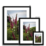 Foxgloves Framed & Mounted Print
