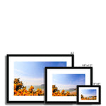 Caswell In Bloom Framed & Mounted Print