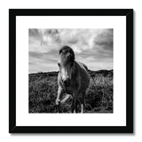 Whitesands Pony Framed & Mounted Print