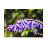 Bluebells Glass Chopping Board