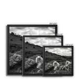 Llyn y Fan Sheep Framed Canvas
