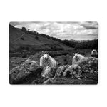 Llyn y Fan Sheep Placemat