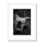 Horns Framed & Mounted Print