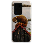 Red Panda Eco Phone Case