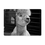 Alpaca Placemat