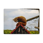 Red Panda Placemat