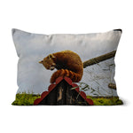 Red Panda Cushion