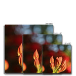 Fiore Italiano Canvas